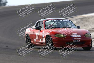 media/Feb-22-2025-CalClub SCCA (Sat) [[57201885c5]]/Group Two/Group 2B/